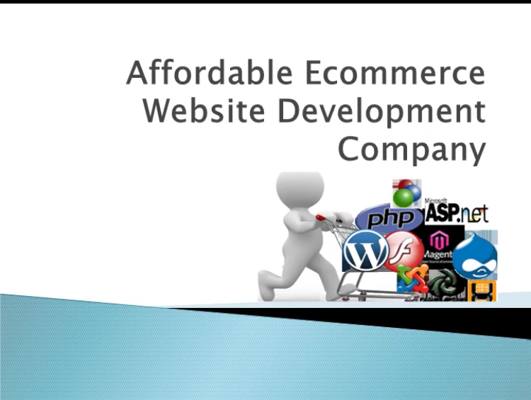 Affordable Ecommerce Website Development Company